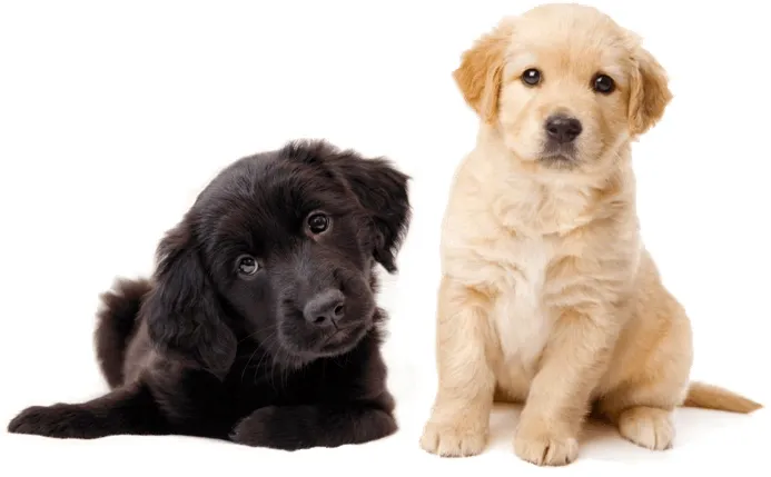 samen bereiken we meerkopie