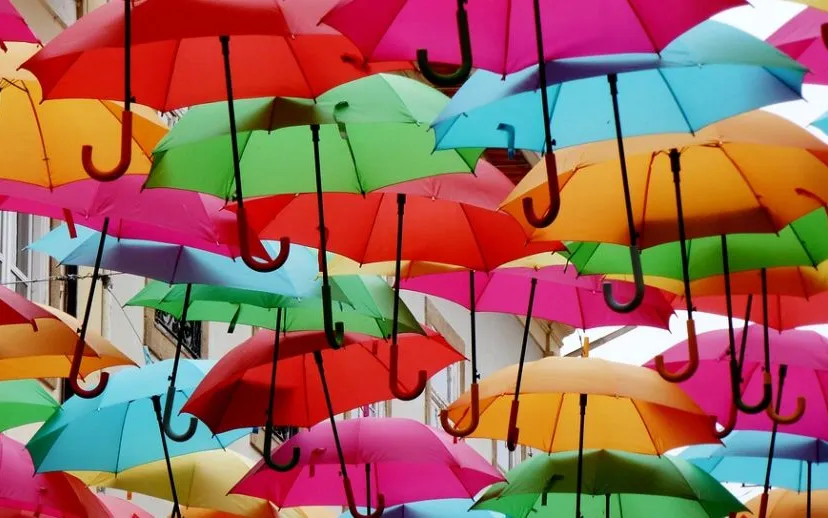 shade tree colorful umbrella umbrellas colorful 2780390 915x518