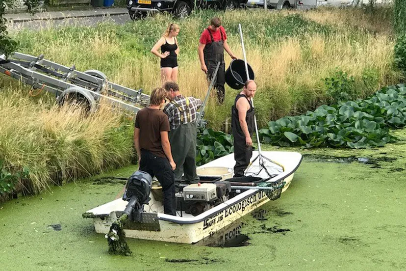 sportvisserij in actie om vissen te redden
