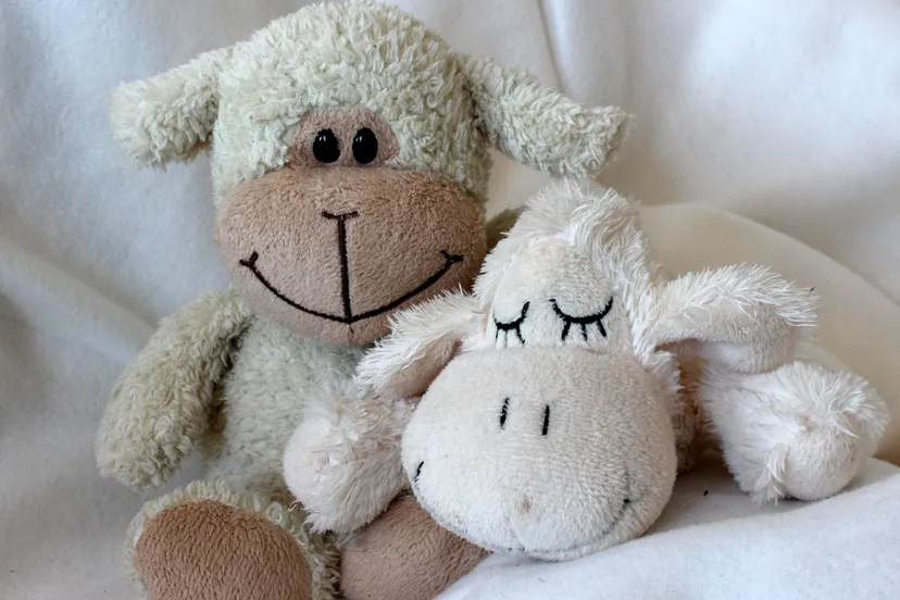 teddyberen myriam zilles pixabay