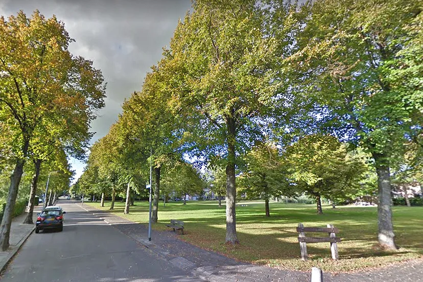 veldbloemstraat madeliefstraat