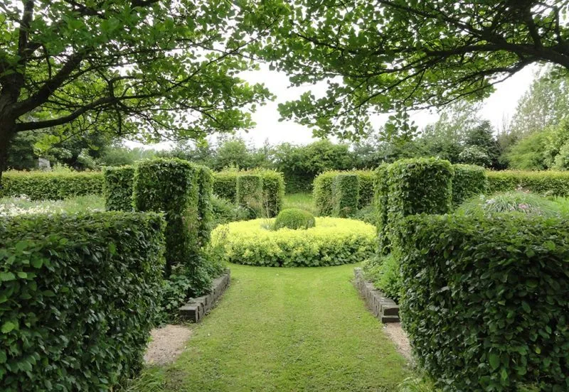 vrouwenmantel de zintuigentuin heerhugowaard e1507213054862