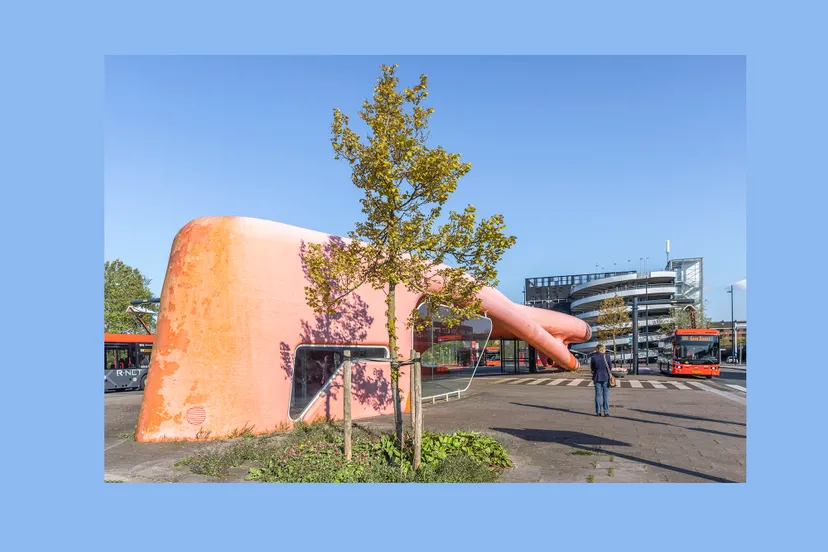 walvis uitgelichtjpg