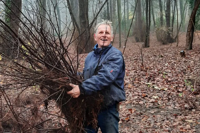 weer50zaailingen kopie