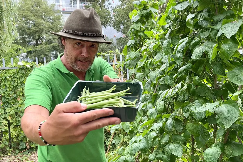 whatsapp image 2023 08 05 at 095812 kopieren