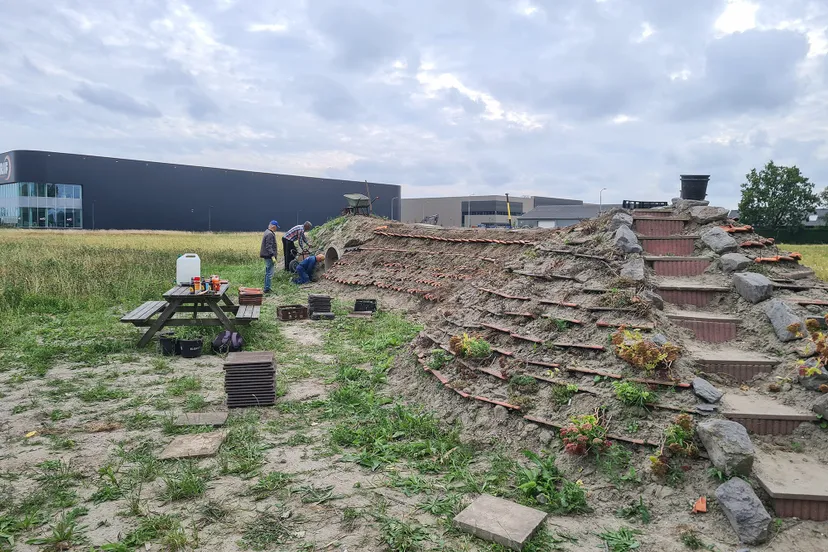 blog 1sept verticale tuin c beta