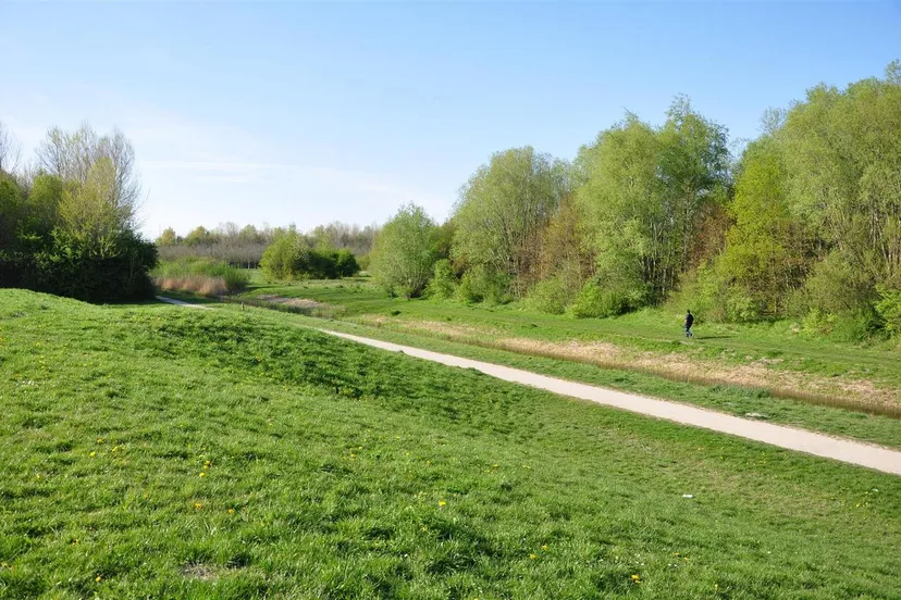 461710440 852156323762818 2809705647974319574 n