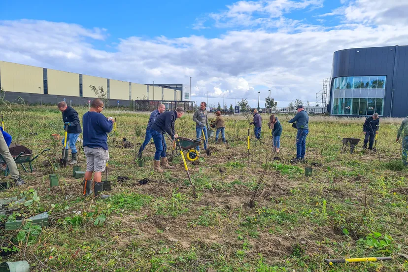 blog 13 oktober klimaatbosplanten