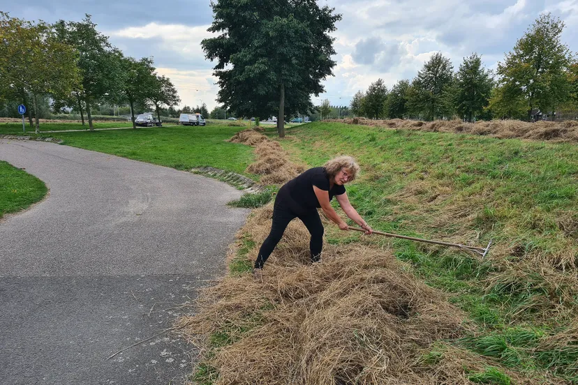 blog20 okt veel hooi om na te hooien