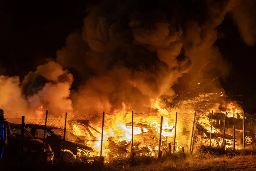 20241111 autobrand 04