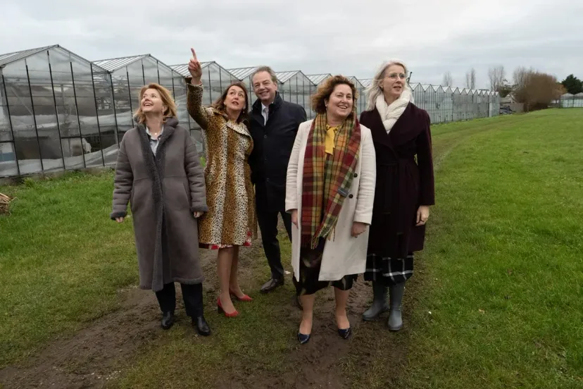 2024 12 1820op20in203