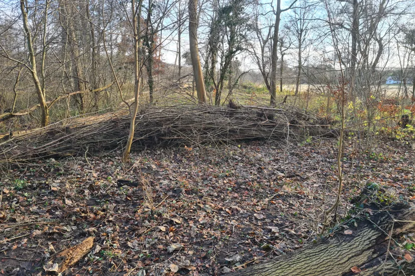 blog 22 dec takken ril