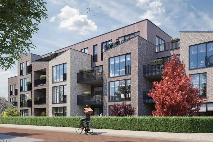 2025 02 1340420in20nv