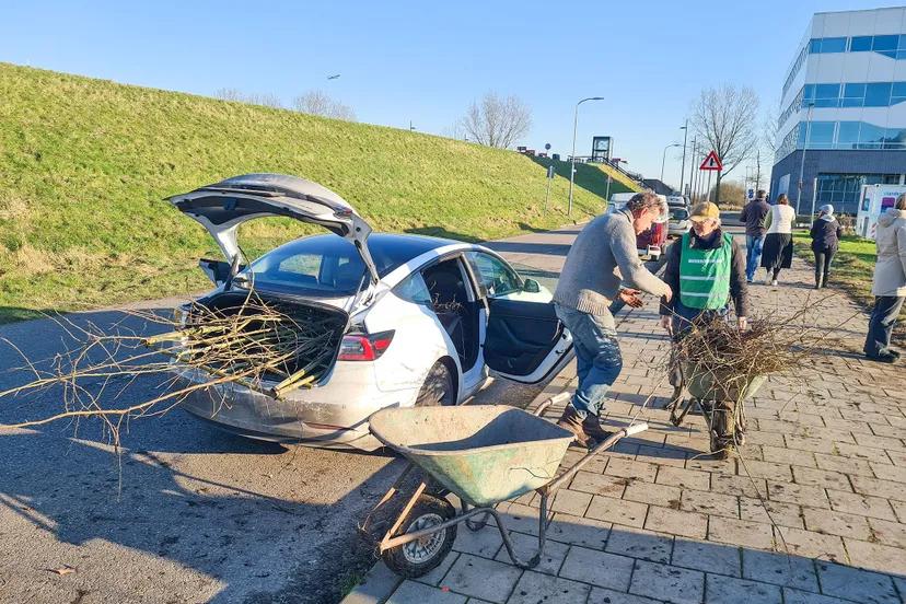 blog 2februari boomnuit deel dag