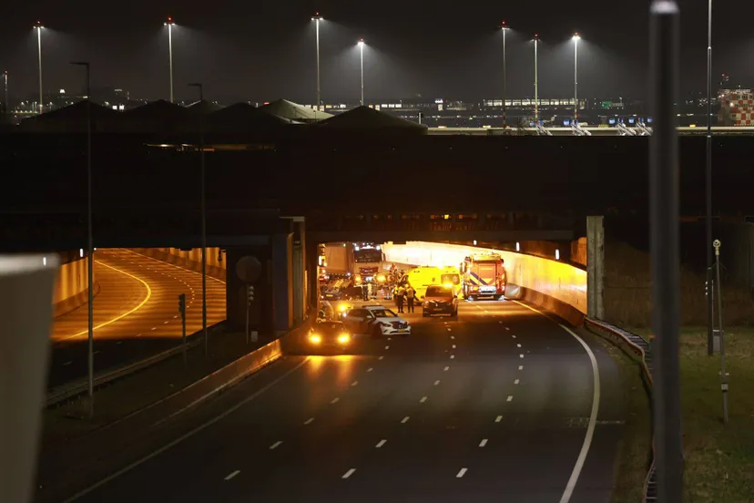 whatsapp image 2025 02 05 at 210346