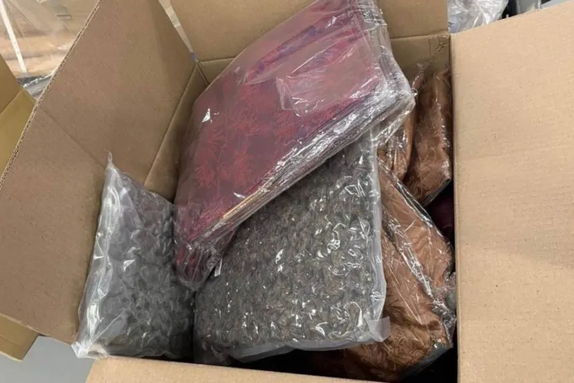 5461559804543 kopieren