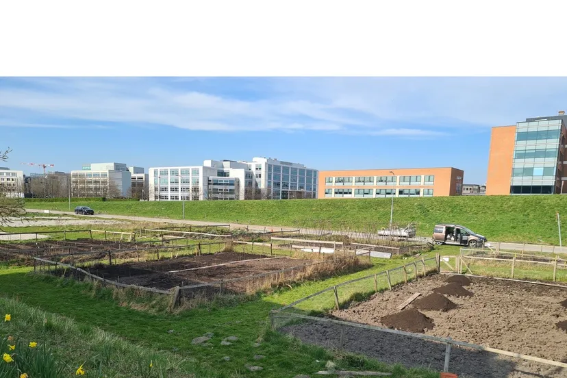 6 april bomenhub is weer groentetuin1