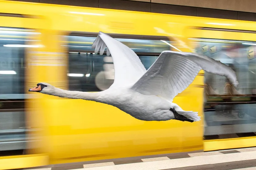 woman 7558886 1920 kopieren