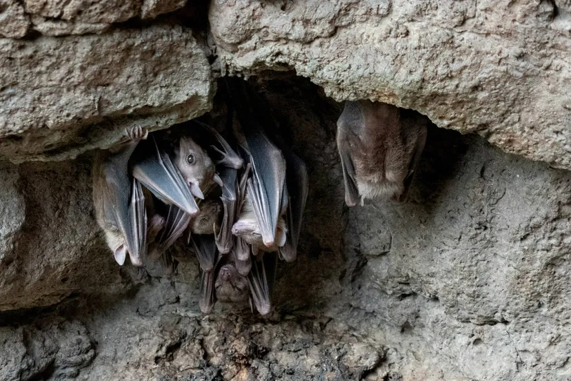 jeffrey hamilton 3pvd2gsgys unsplash 1