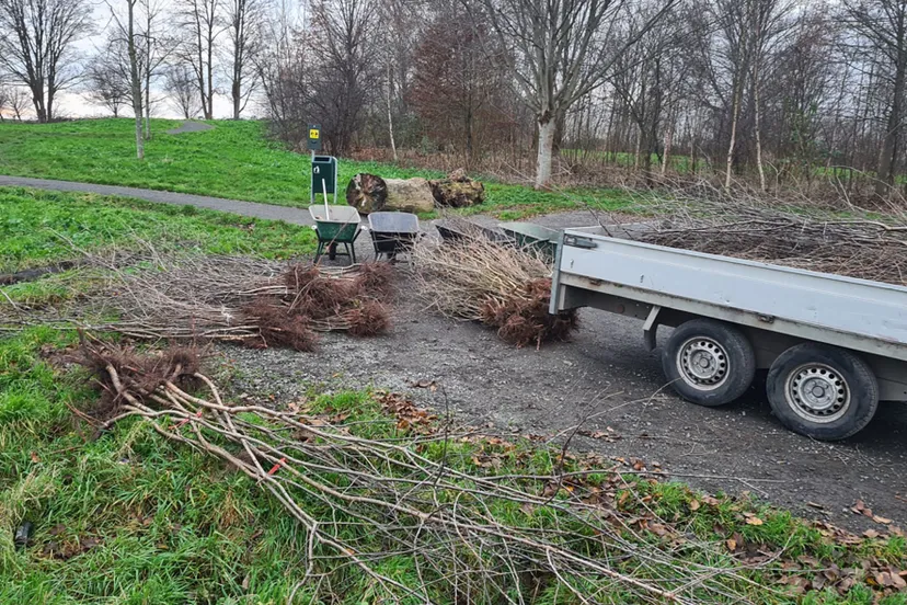 blog 21 december 1000den kersenbomen voor het oprapen