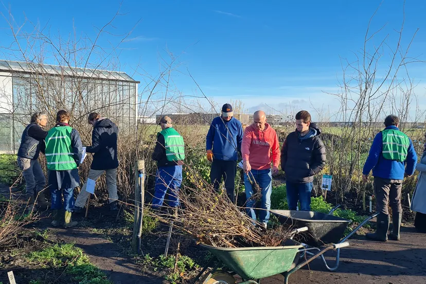 blog14 decemer uitdeel dag Lincolnpark