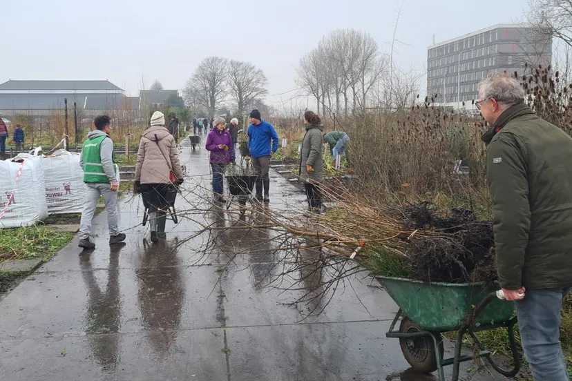 blog 1febr volop drukte op boomuirdeel