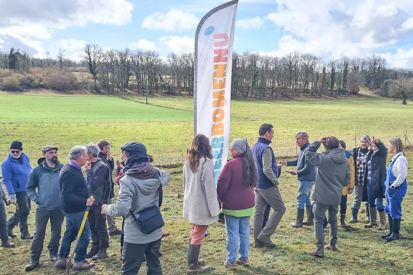 blog 8 febr vitesplusdarbres