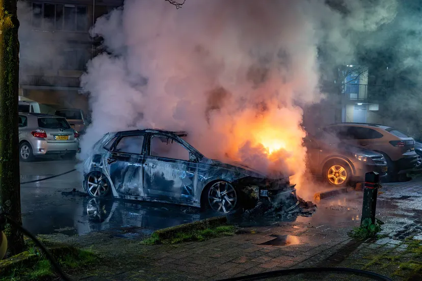 20260329_willemsbos_04