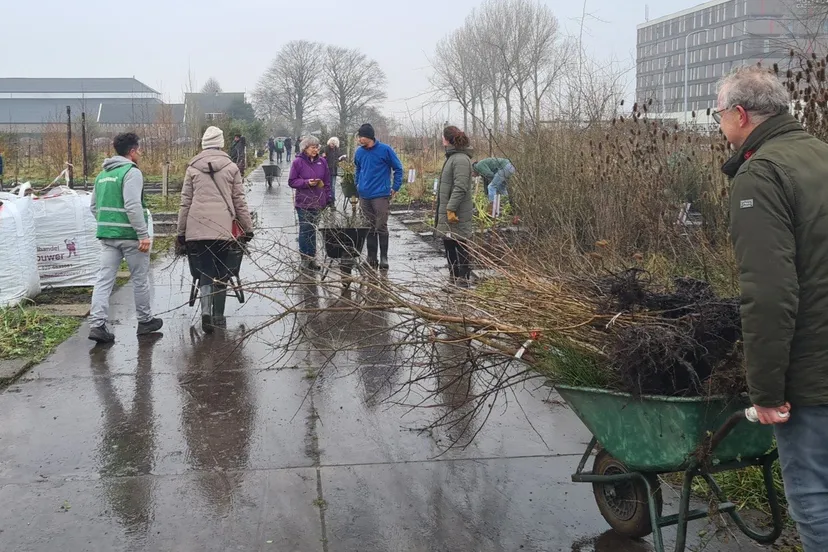 Perbericht7 maart boomuitdeeldag altijd veel belangstelling