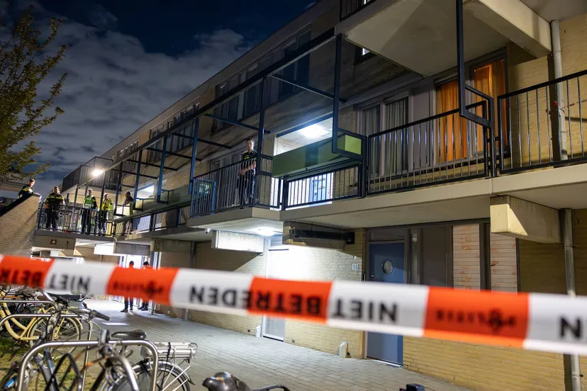 20260415_steek_hfd_08