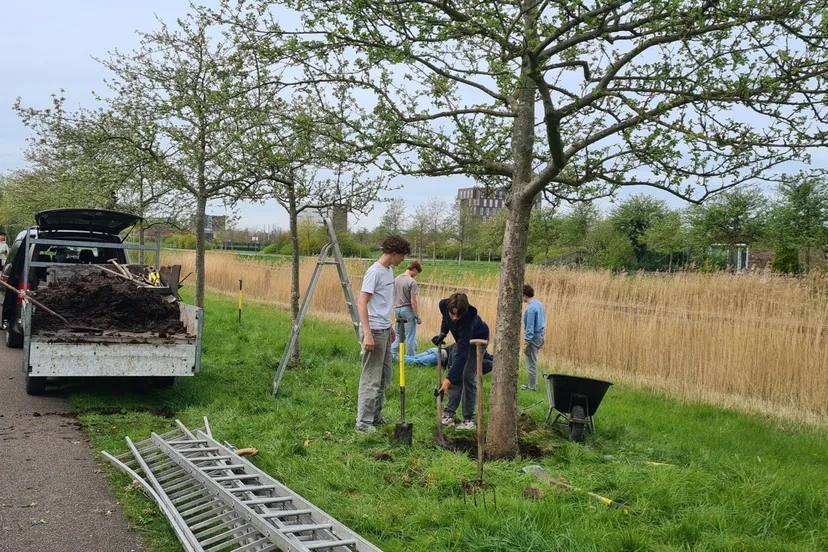 blog 18 april fruit bomen verzorgen