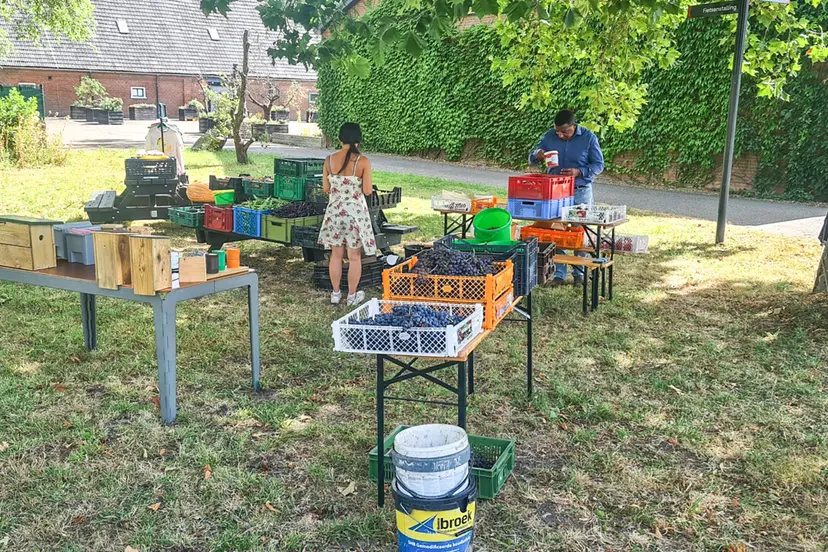 blog9 aug newterra markt