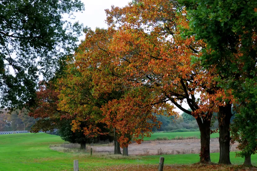 20171019 waalwijk jst7467