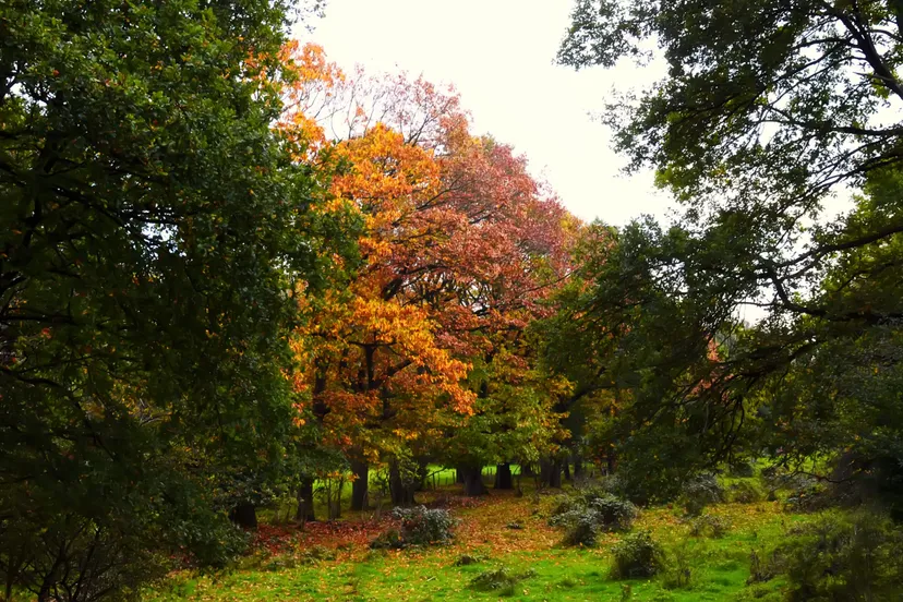 20171019 waalwijk jst7518 scaled