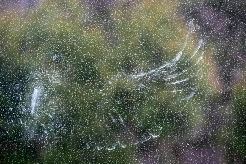 20190331 oisterwijk jvdbp1310356