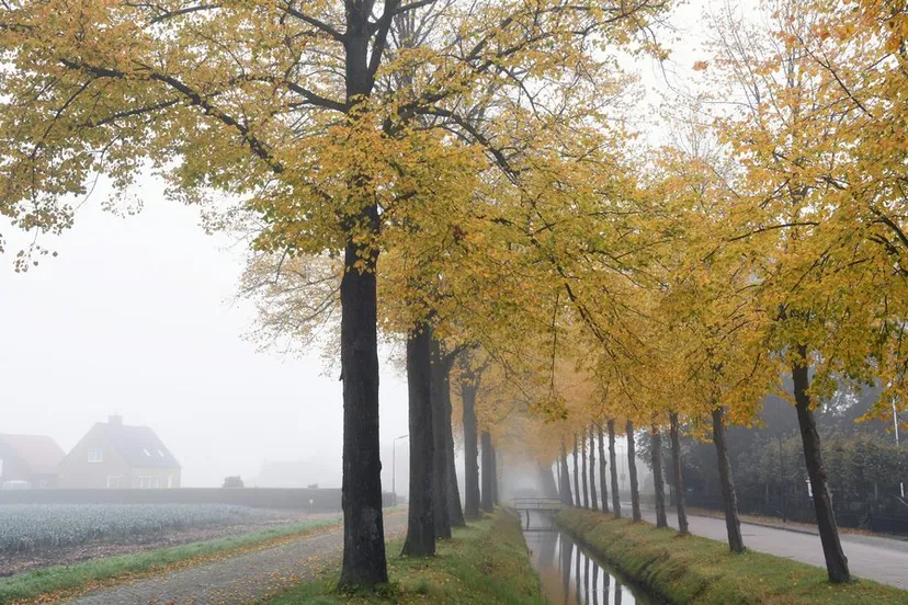 20201023 dongen herfst jst6863