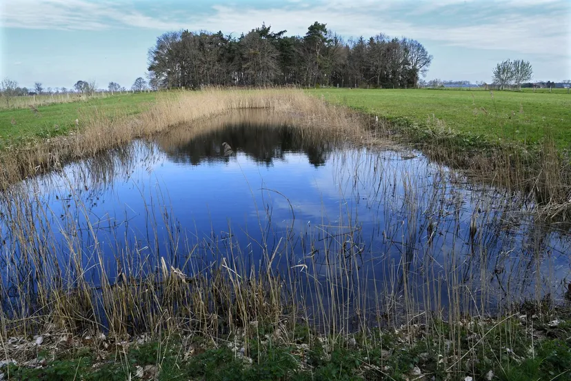 20210416 achtmaal de matjes jst2663