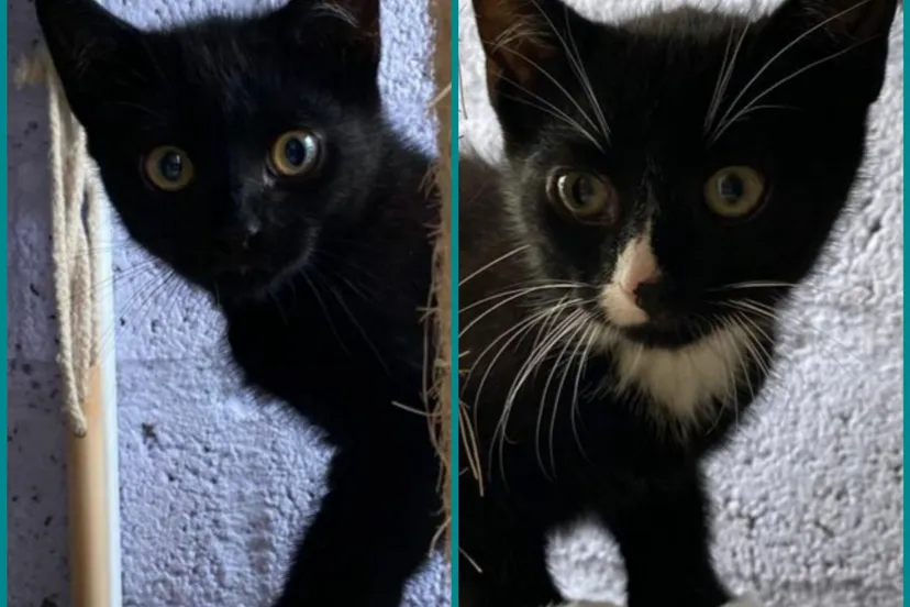 20210819 220620 scaled