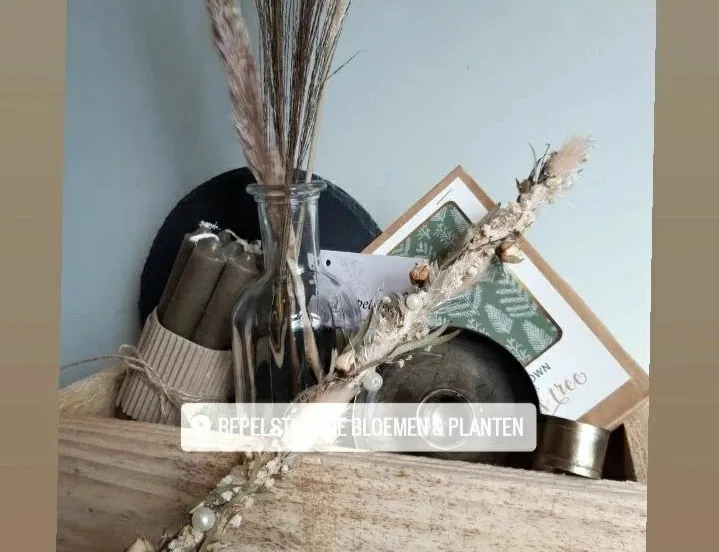 309506517 786932212673318 1854755829350195536 n