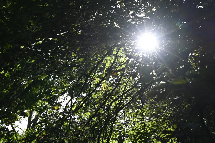 309645338 6108674819145840 8667890184644791377 n