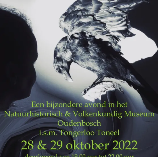 310616454 586854383236023 6661524004206046738 n