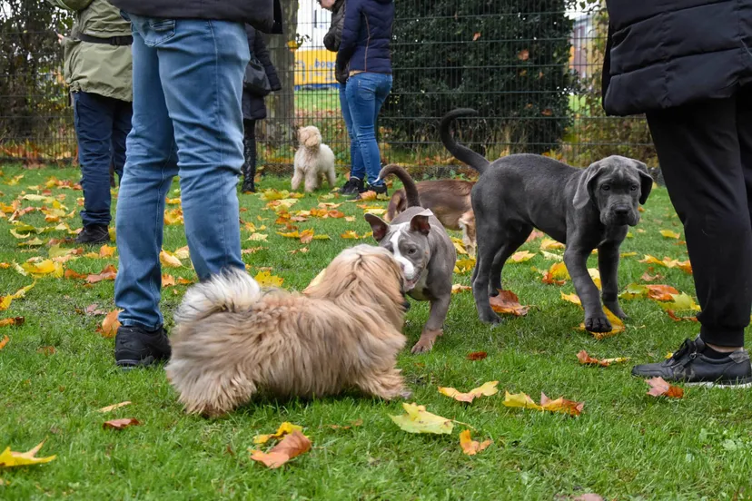 315561342 501583468578350 2236826640715659293 n