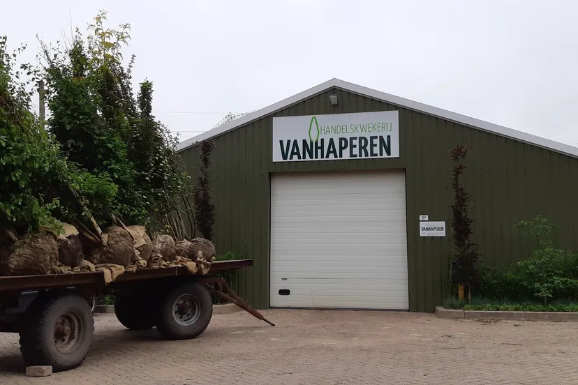 32929196 1936869256554919 2927590652600385536 n