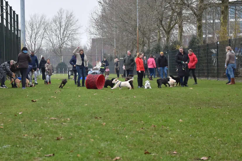 330781469 670349471554896 6856063638294999031 n