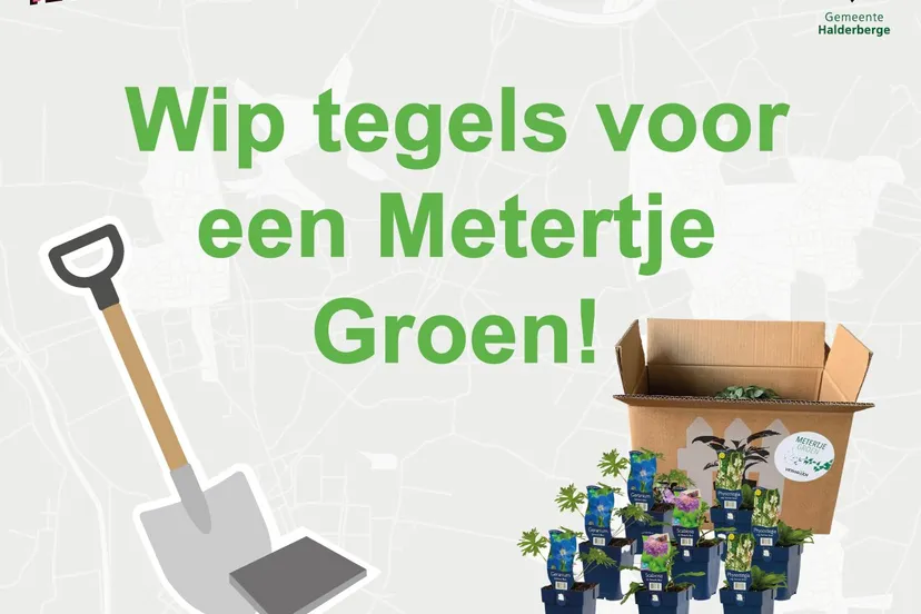 354038126 635722868589404 1485787569878022192 n