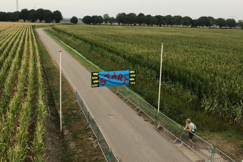 356894883 617569550472894 6565267251412320421 n