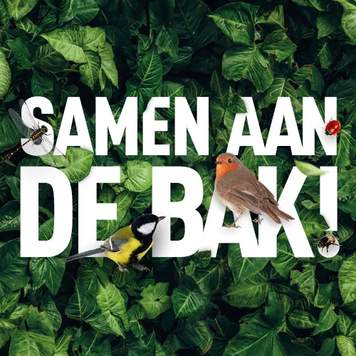 36222400 1876044582700789 3379648669312614400 n