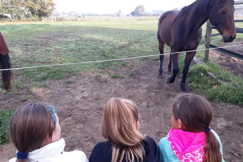 44330619 1840058546047162 6765389934418198528 n