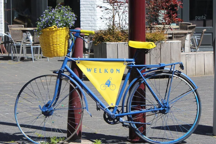 61463693 2045931525505105 2442594587529707520 n