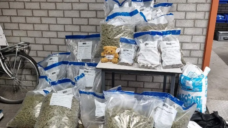 drugs team roosendaal